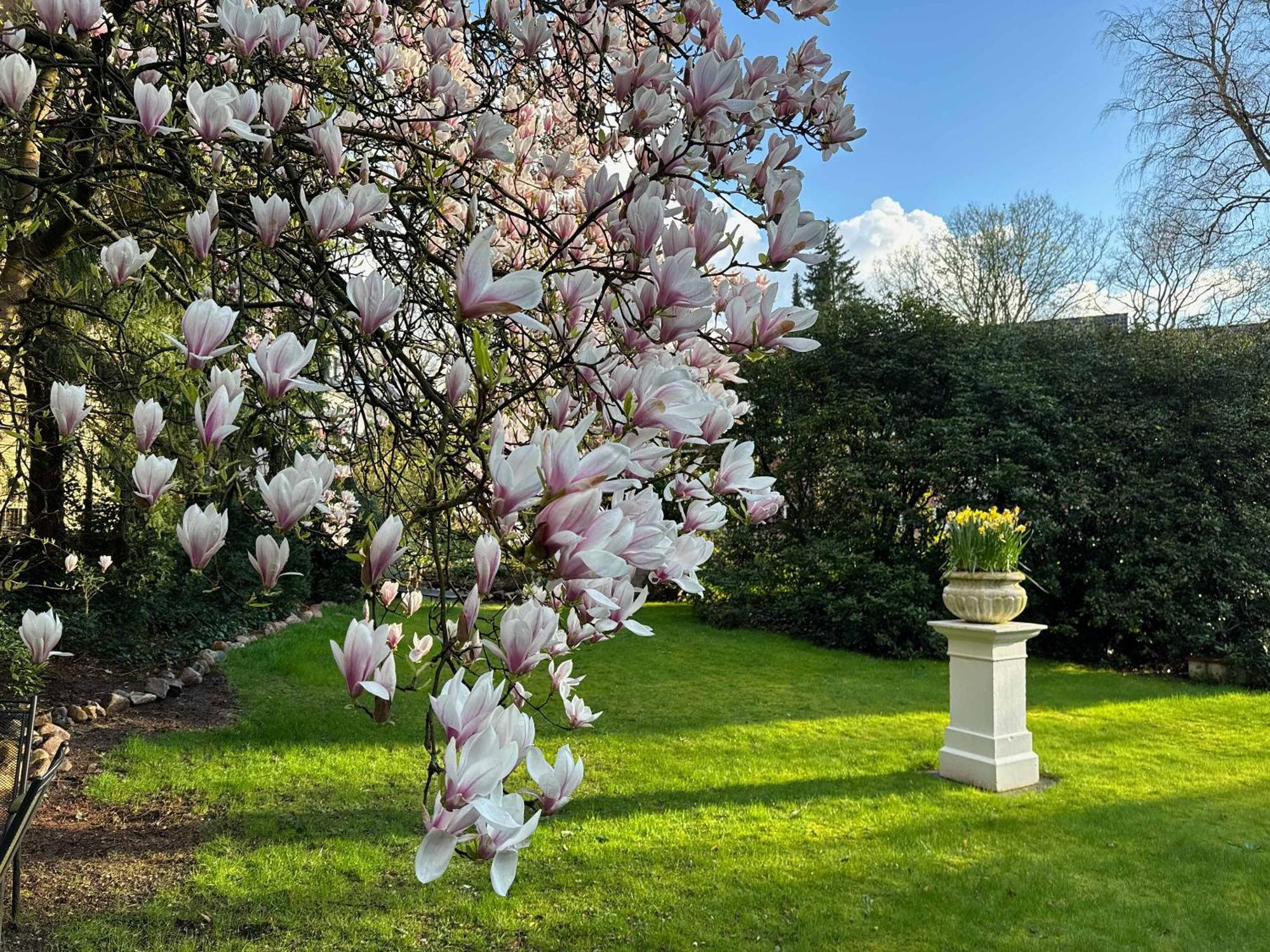 Hotel Rosengarten Hamburg Zewnętrze zdjęcie